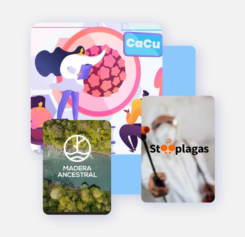 Servicios de Diseño Gráfico